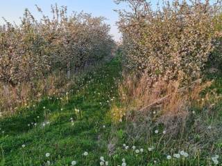Agricultural plot, Sale, Velika Gorica - Okolica, Staro Čiće