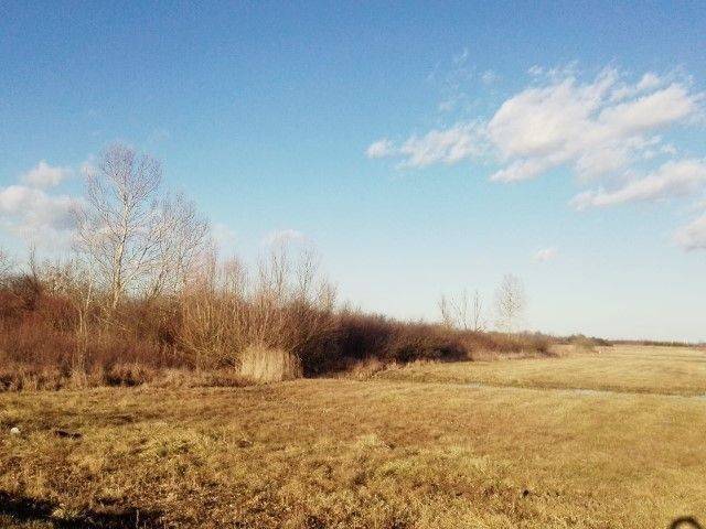 Industrial land plot, Sale, Velika Gorica, Velika Gorica