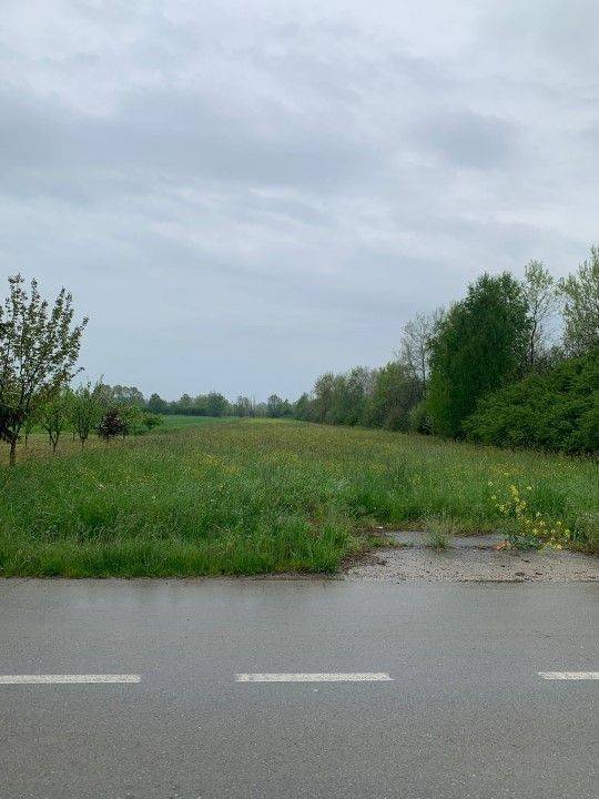 Plot for construction of mixed-use property, Sale, Velika Ludina, Vidrenjak