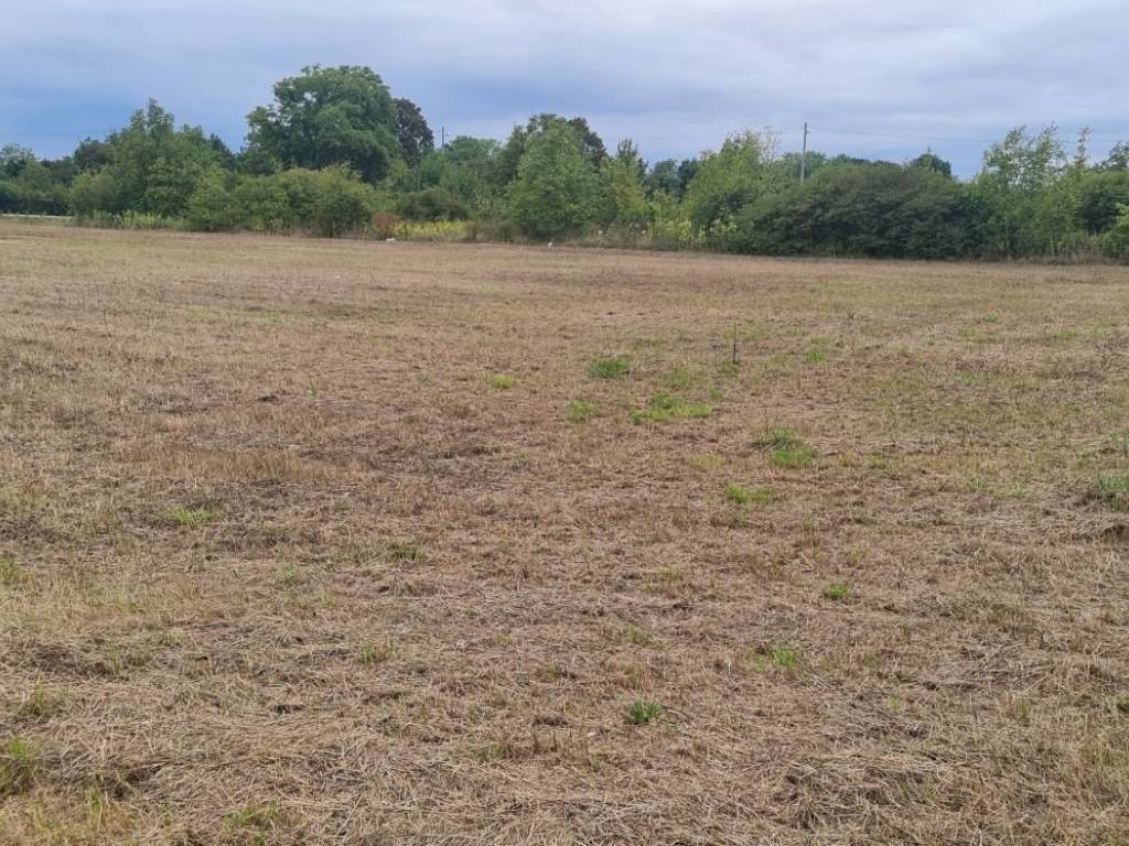 Plot for construction, Sale, Velika Gorica - Okolica, Ščitarjevo
