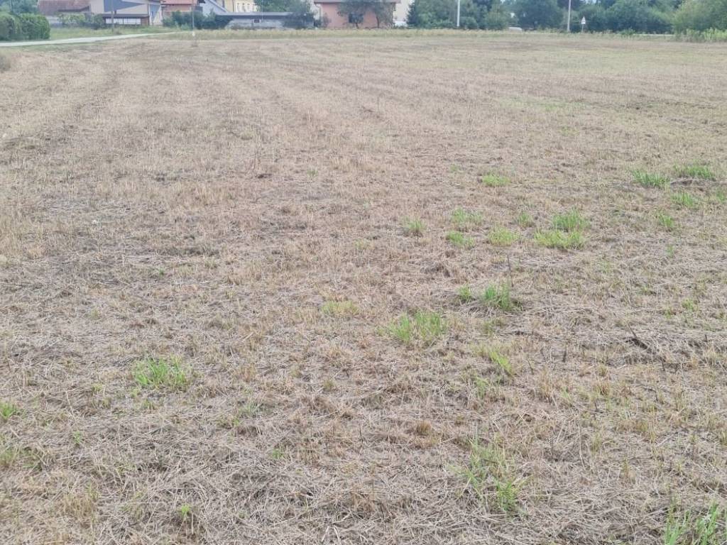 Plot for construction, Sale, Velika Gorica - Okolica, Ščitarjevo