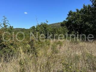 Agricultural plot, Sale, Marina, Marina
