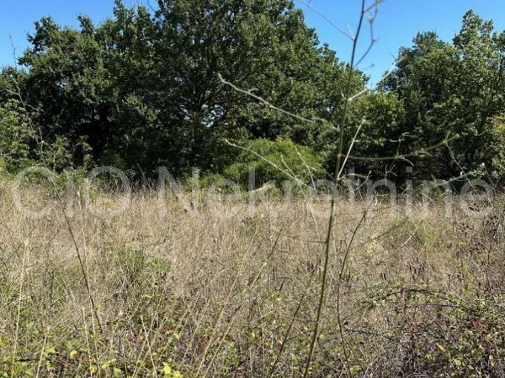 Agricultural plot, Sale, Marina, Marina
