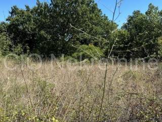 Agricultural plot, Sale, Marina, Marina