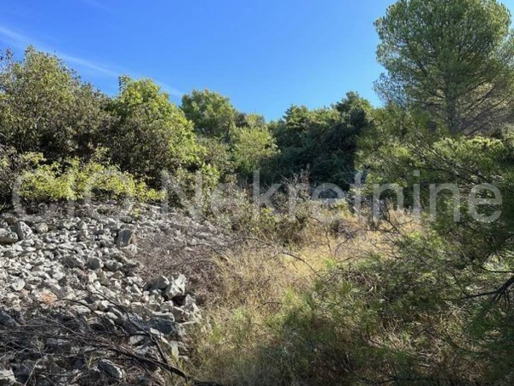 Agricultural plot, Sale, Rogoznica, Zatoglav