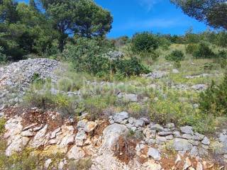 Plot for construction, Sale, Bol, Murvica