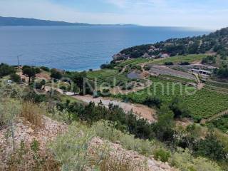 Plot for construction, Sale, Bol, Murvica