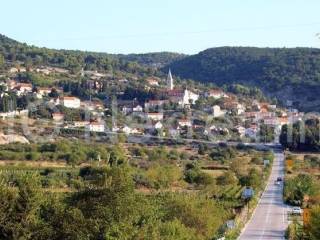 Forest, Sale, Nerežišća, Nerežišća