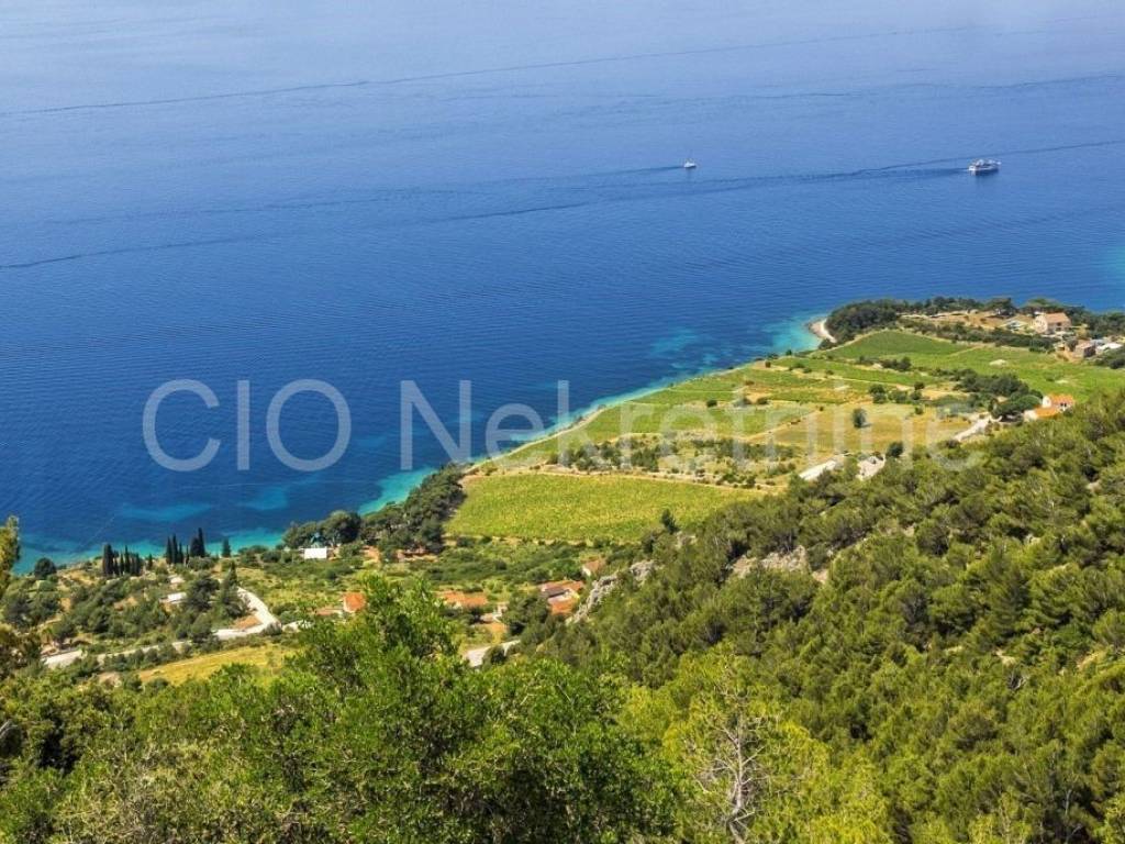 Agricultural plot, Sale, Nerežišća, Nerežišća