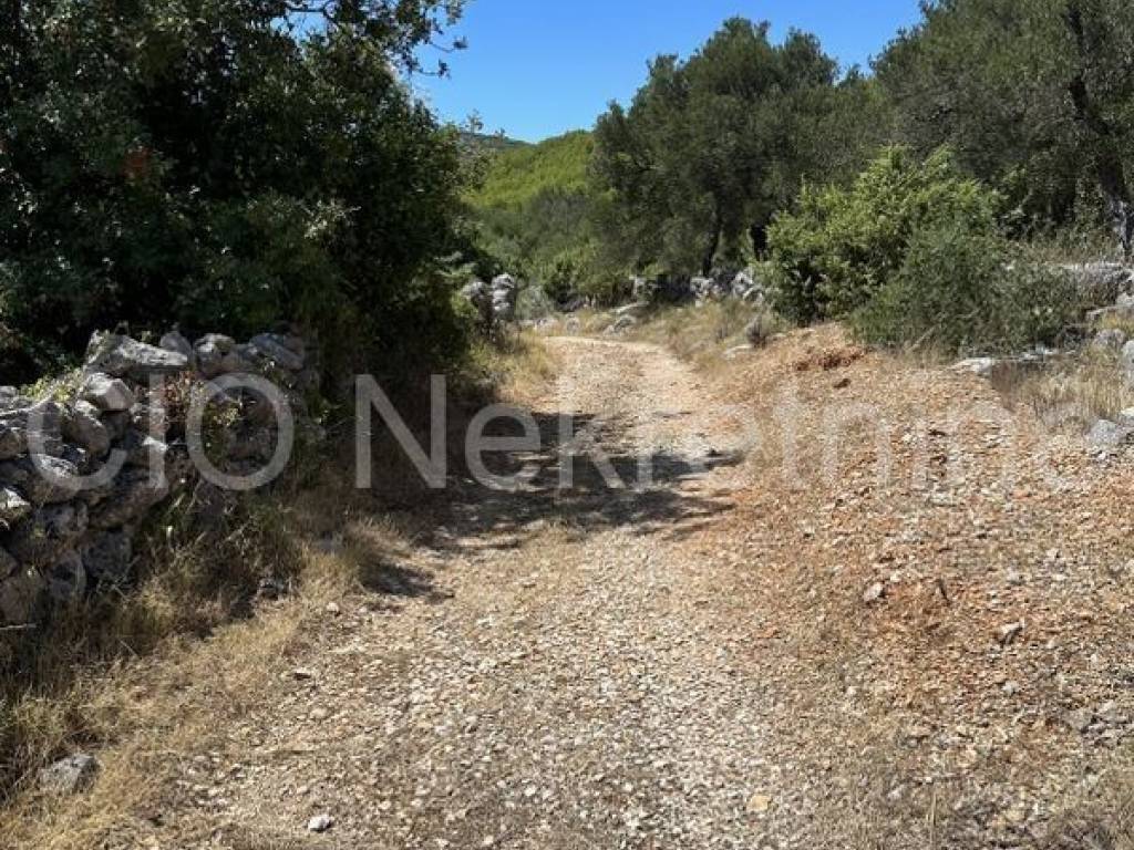 Agricultural plot, Sale, Marina, Marina