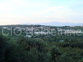 Agricultural plot, Sale, Pučišća, Pražnica