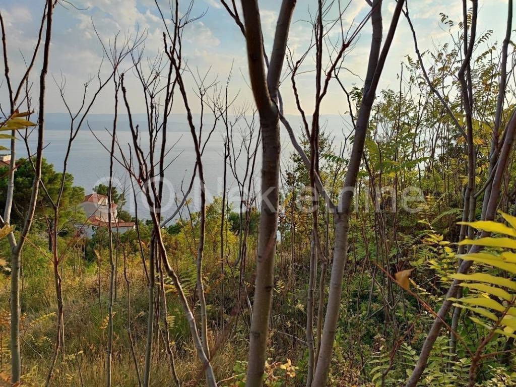 Plot for construction, Sale, Omiš, Lokva Rogoznica