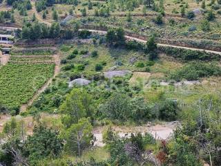 Agricultural plot, Sale, Nerežišća, Nerežišća