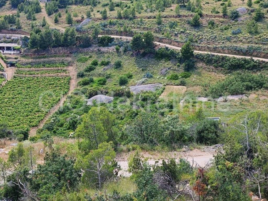 Agricultural plot, Sale, Nerežišća, Nerežišća