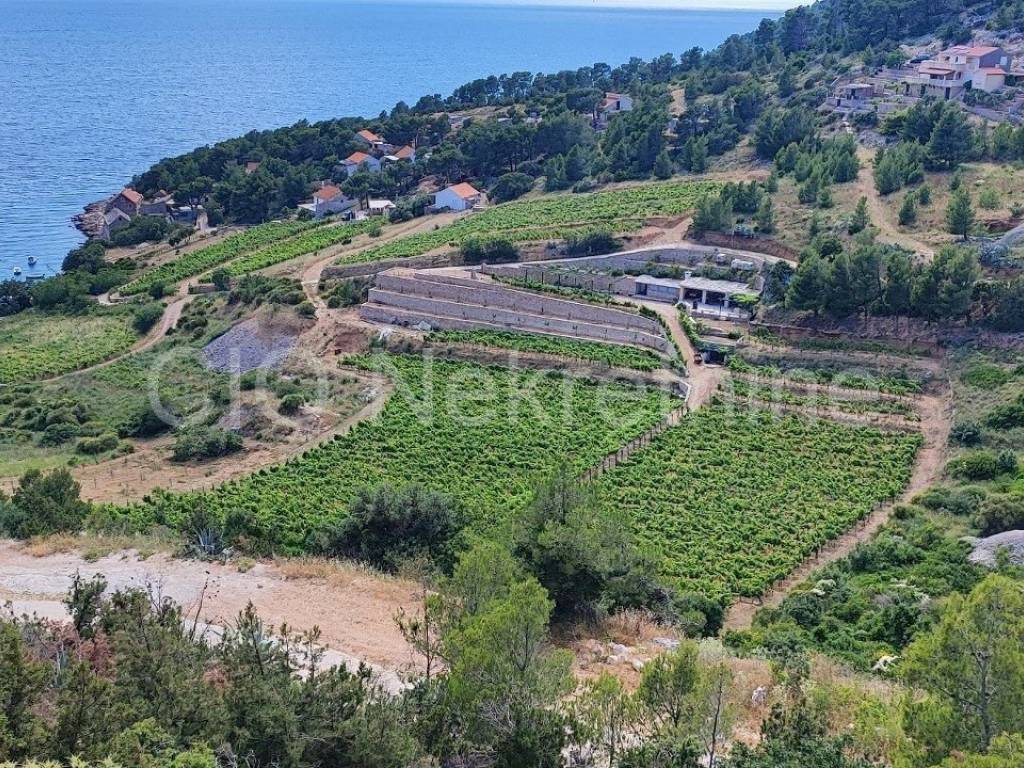 Agricultural plot, Sale, Nerežišća, Nerežišća