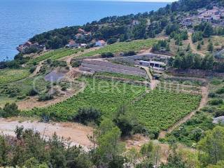 Agricultural plot, Sale, Nerežišća, Nerežišća