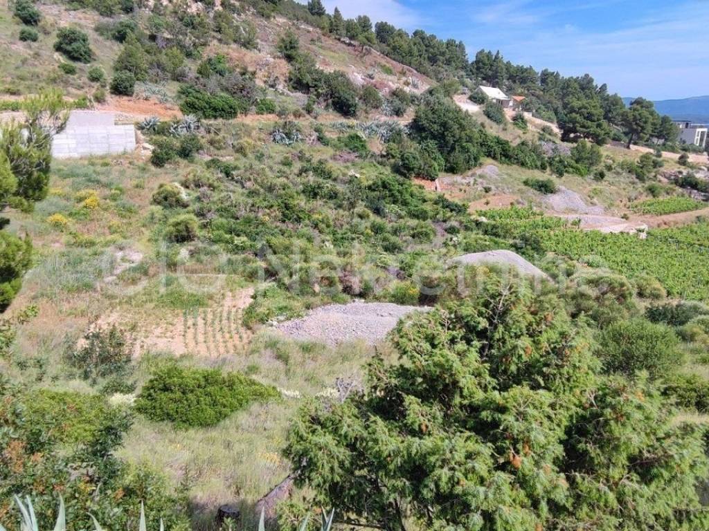 Agricultural plot, Sale, Nerežišća, Nerežišća