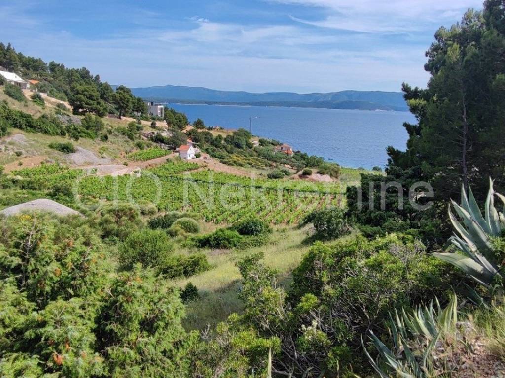 Agricultural plot, Sale, Nerežišća, Nerežišća