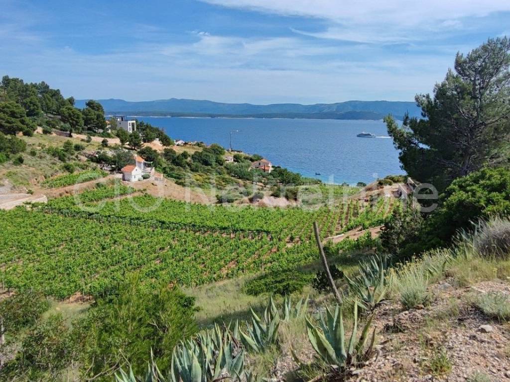 Agricultural plot, Sale, Nerežišća, Nerežišća