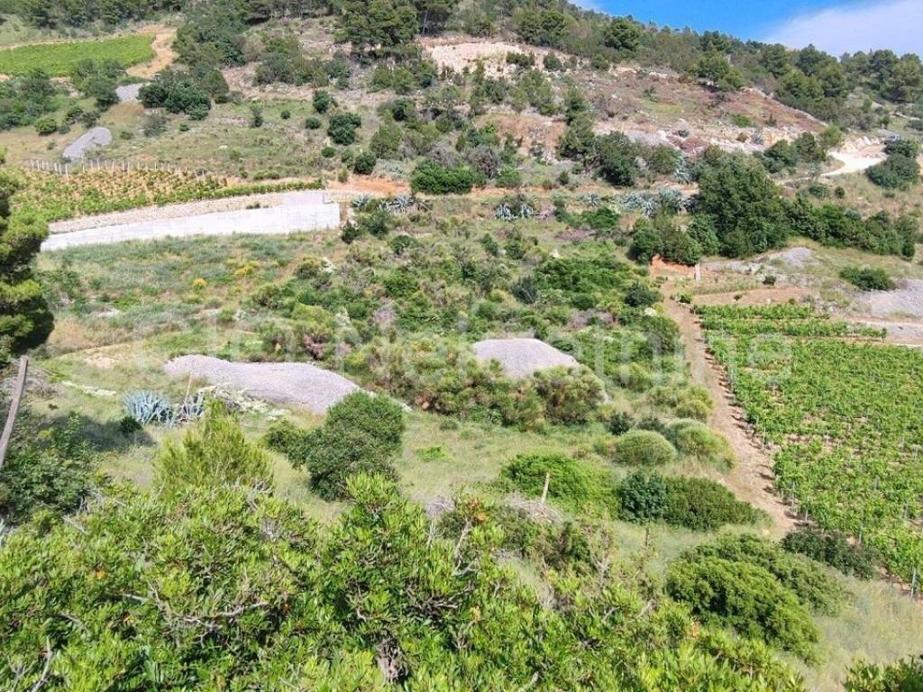 Agricultural plot, Sale, Nerežišća, Nerežišća