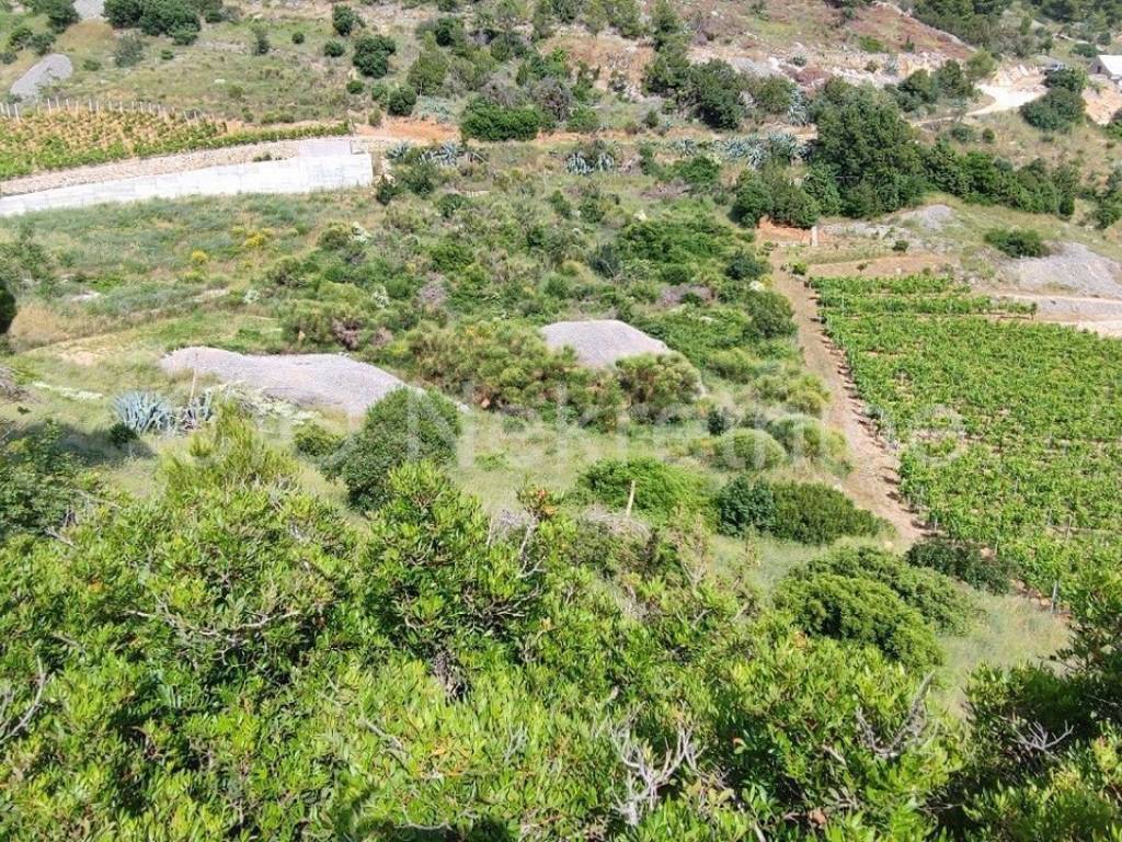 Agricultural plot, Sale, Nerežišća, Nerežišća