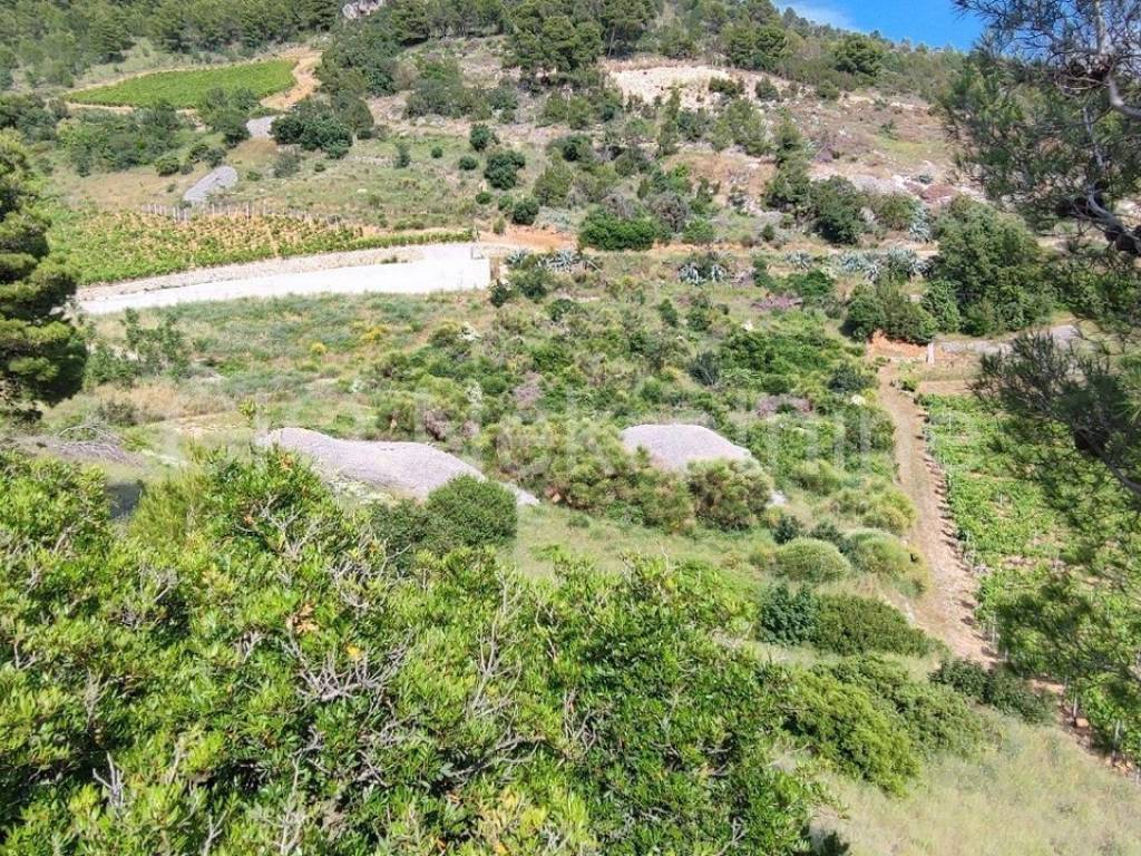 Agricultural plot, Sale, Nerežišća, Nerežišća