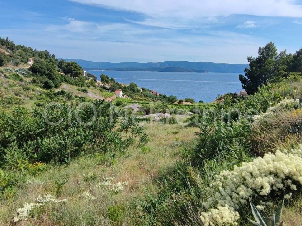Agricultural plot, Sale, Nerežišća, Nerežišća