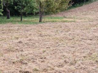 Plot for construction, Sale, Jastrebarsko - Okolica, Sveta Jana