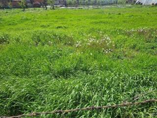 Plot for construction, Sale, Velika Gorica - Okolica, Staro Čiće