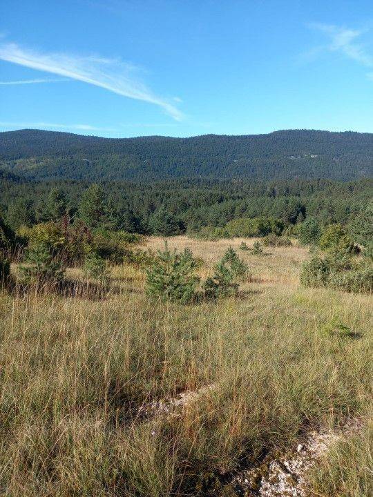 Agricultural plot, Sale, Saborsko, Saborsko