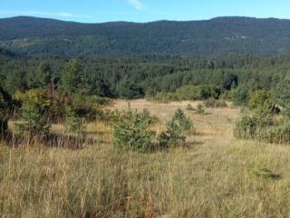 Agricultural plot, Sale, Saborsko, Saborsko