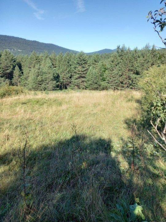 Agricultural plot, Sale, Saborsko, Saborsko