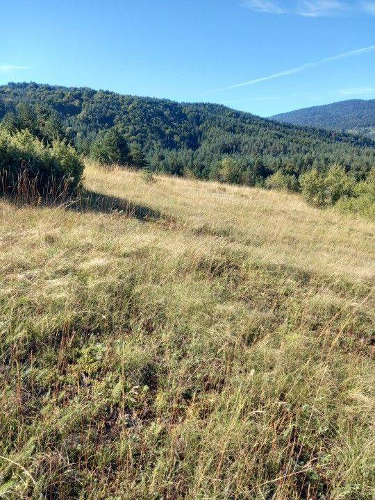 Agricultural plot, Sale, Saborsko, Saborsko