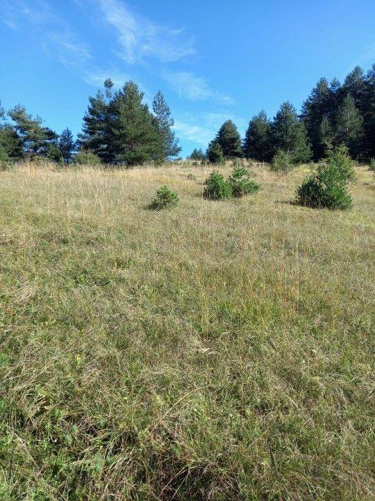 Agricultural plot, Sale, Saborsko, Saborsko