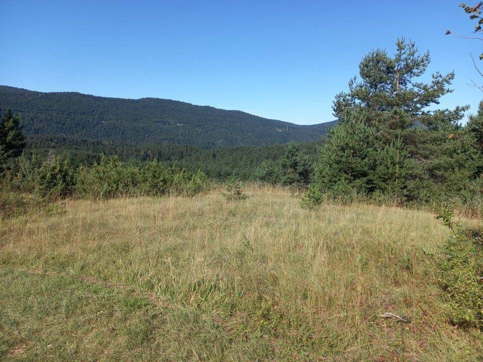 Agricultural plot, Sale, Saborsko, Saborsko