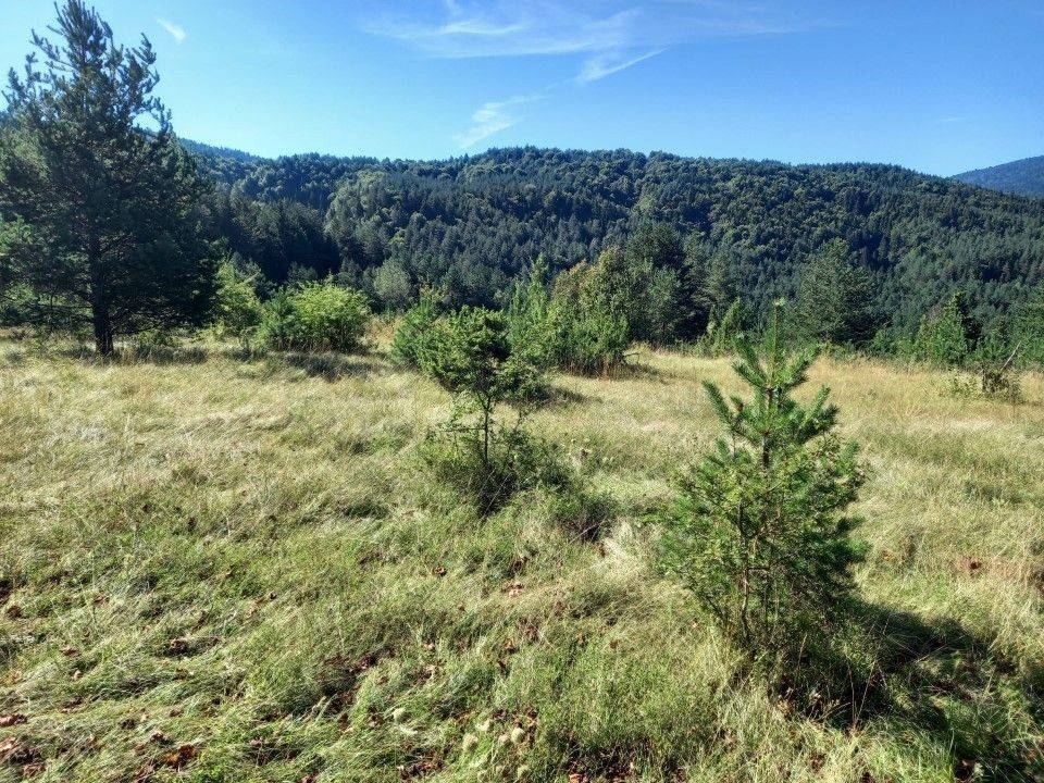 Agricultural plot, Sale, Saborsko, Saborsko