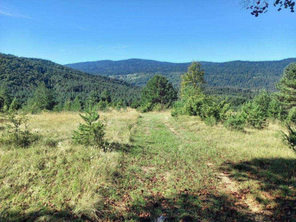 Agricultural plot, Sale, Saborsko, Saborsko