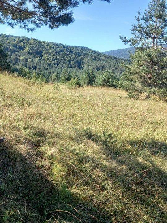 Agricultural plot, Sale, Saborsko, Saborsko