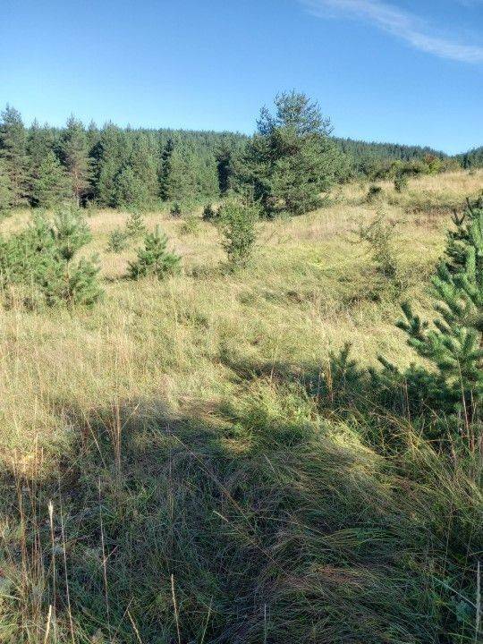 Agricultural plot, Sale, Saborsko, Saborsko