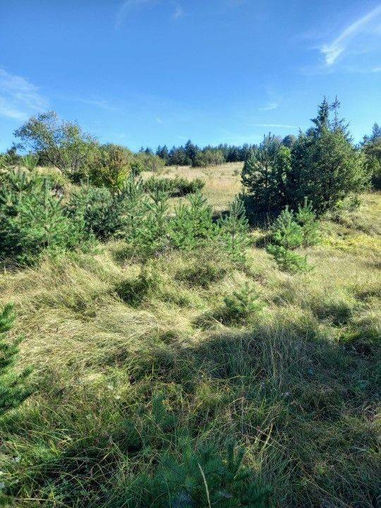 Agricultural plot, Sale, Saborsko, Saborsko
