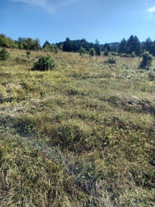 Agricultural plot, Sale, Saborsko, Saborsko