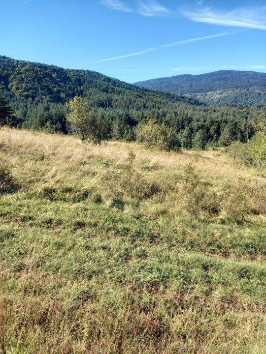 Agricultural plot, Sale, Saborsko, Saborsko
