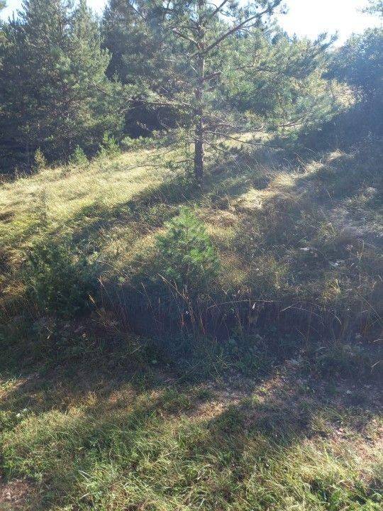 Agricultural plot, Sale, Saborsko, Saborsko