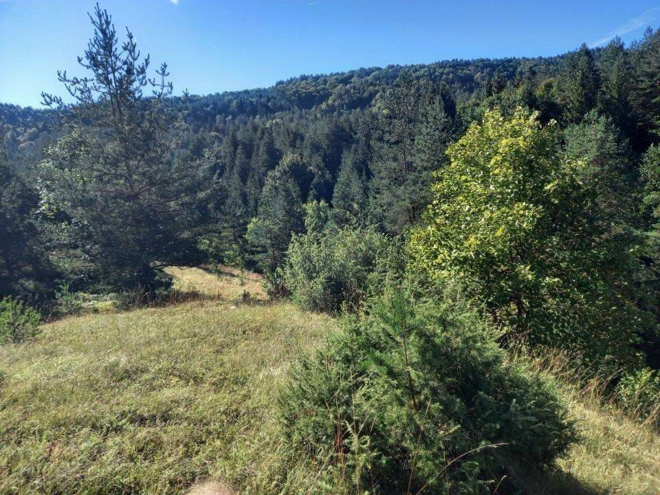 Agricultural plot, Sale, Saborsko, Saborsko