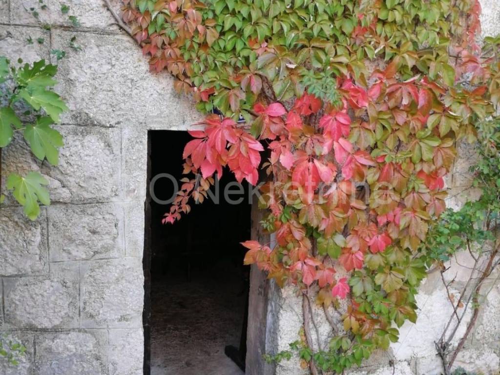 Stone house, Sale, Lovreć, Lovreć