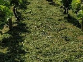 Plot for construction, Sale, Lekenik, Pešćenica