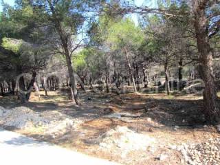 Building - catering and tourism zone, Sale, Bol, Bol