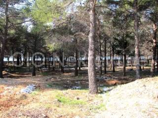 Building - catering and tourism zone, Sale, Bol, Bol
