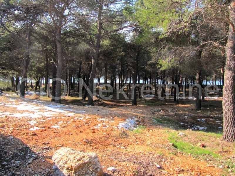 Building - catering and tourism zone, Sale, Bol, Bol