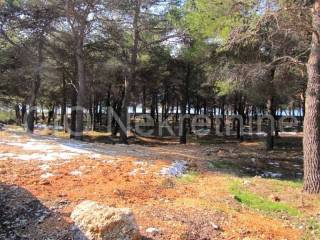 Building - catering and tourism zone, Sale, Bol, Bol